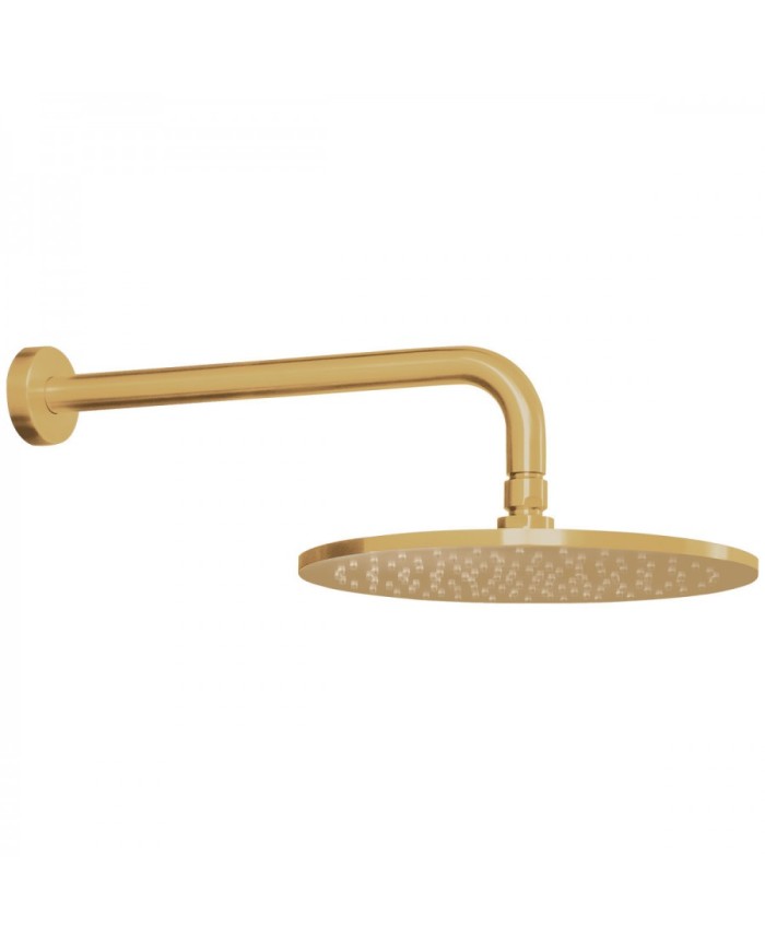 Built-in Bathroom Set La Torre Elle 316 Gold Brushed PVD 2 Outlet Mixer & Round Wall Head & Telephone with Bracket