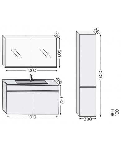 Bathroom Furniture Furnibath Toledo 100A Royal Gray Base, Washbasin, Mirror-Coverboard (7TL100AGR)