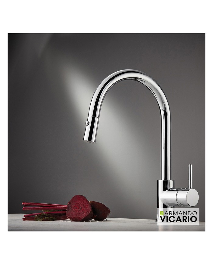 Armando Vicario Fluo Chrome 2 Function Countertop Sink Faucet With Swivel Spout With Sliding Shower (18780-100)