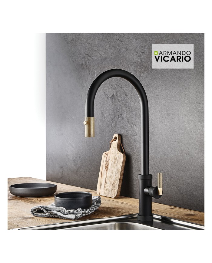 Armando Vicario Black Matt/Brushed Gold 2 Function Countertop Sink Faucet With Swivel Spout With Sliding Shower