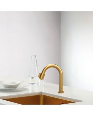 ΡΟΥΞΟΥΝΙ ΦΙΛΤΡΟΥ (ΜΕ ΔΙΑΚΟΠΤΗ) CORA BRUSHED GOLD