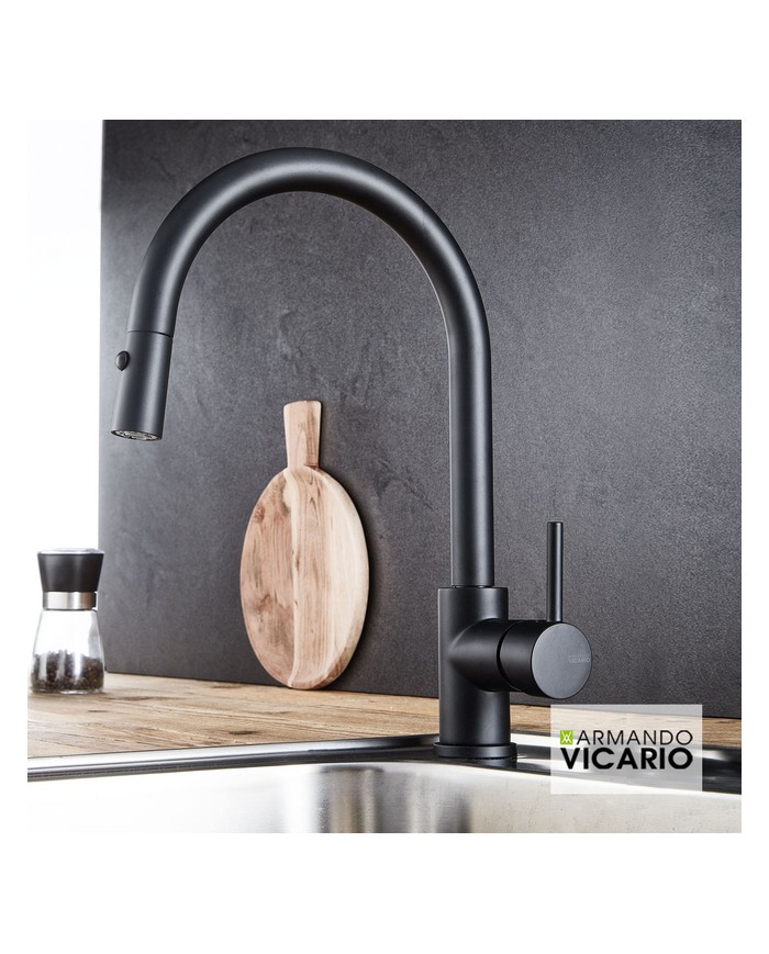 Armando Vicario Black Matt 2 Function Countertop Sink Faucet With Swivel Spout With Sliding Shower (18780-400)