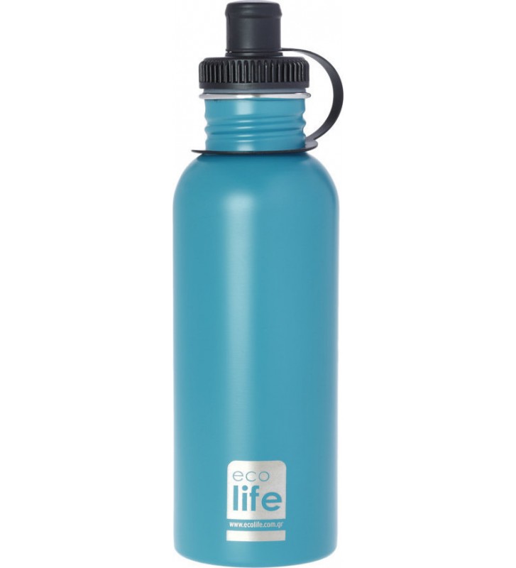 Stainless Steel Bottle Ecolife Bottles Aqua 600ml (matte) Standard (pacifier)