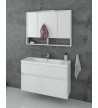 Bathroom Furniture Drop Instinct 100 Hanging Furniture Base, Washbasin, Mirror