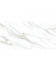 Πλακάκι POLO CARRARA KARAG 60x120cm