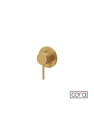 Built-in Single (1) Outlet Mixer Cora Cosmo PVD Gold Brushed Inox 316L