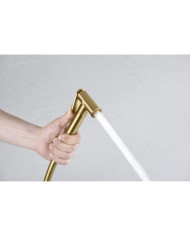 Εντοιχιζόμενο Σύστημα Μπιντέ Imex Line  PVD Χρυσό Ματ Αναμεικτικό & Ντουζάκι Υγιεινής 1 Οπής  (RDD038/OC)