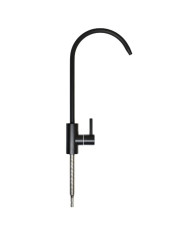 Countertop faucet Stainless Steel Black Design SS304
