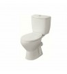Basin Set Pyramis Karystos II Rimless Floor P-Trap (Rear Fittings) with Soft Close Cover & Cistern