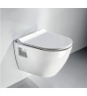 Hanging White Serel Smart Basin (48.5 cm) With Bidet System, With Bakelite Cover