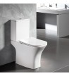 Basin Set Bianco Ceramica Delia Rimless with Cistern with Slim Cover Soft Close