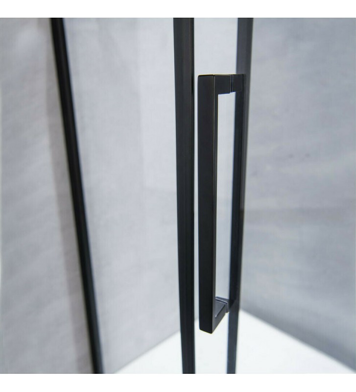 Cabin Opening Entrance Door Clear Crystal Devon Primus Pivot Infill Black matt h.195 Clean Glass