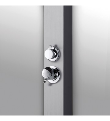 Στήλη Ντους Θερμομικτική Επίτοιχη Εσωτερικού / Εξωτερικού Χώρου Icos Thea Mix Inox AISI 316