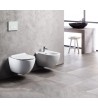 Creavit Free Hanging Basin White with cover (FE320)